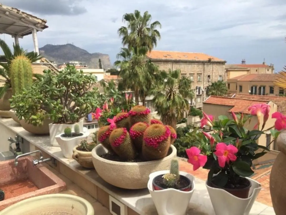 Affittacamere Hotel Gagini House&Terrace Palermo Italia